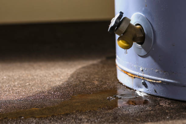 Best Local water damage restoration  in Canon, GA