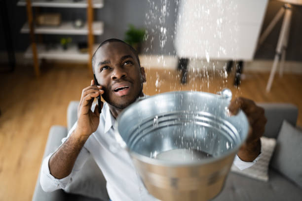 Best Flood damage cleanup  in Canon, GA