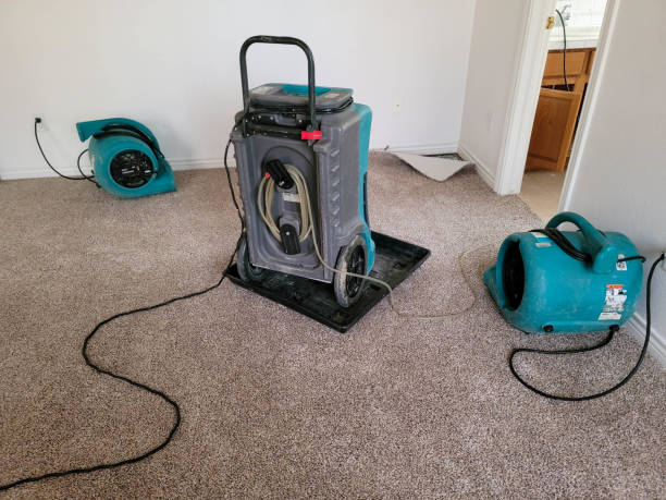 Best Water damage mitigation services  in Canon, GA