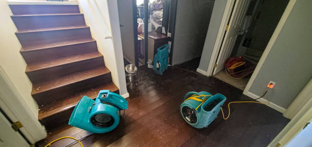 Best Local water damage restoration  in Canon, GA