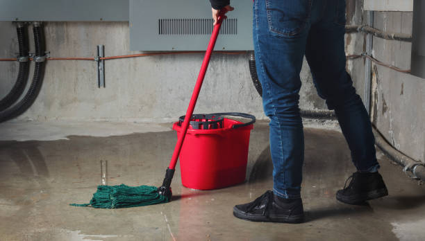 Best Mold removal after water damage  in Canon, GA