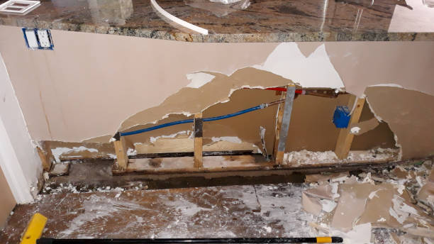 Best Water damage contractors near me  in Canon, GA