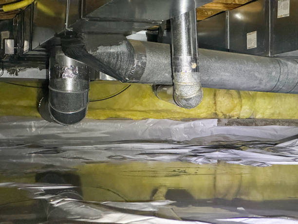 Best Professional water damage repair  in Canon, GA