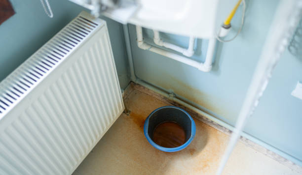 Best Flood damage cleanup  in Canon, GA