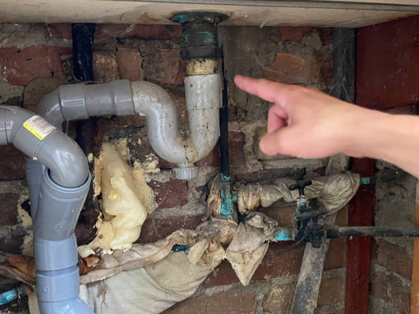 Best Carpet water damage restoration  in Canon, GA