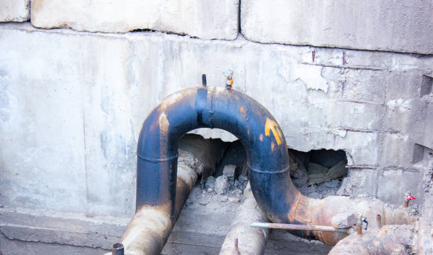 Best Mold removal after water damage  in Canon, GA